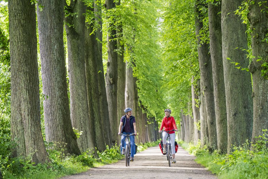 Radreisende fahren durch den Eutiner Schlossgarten
