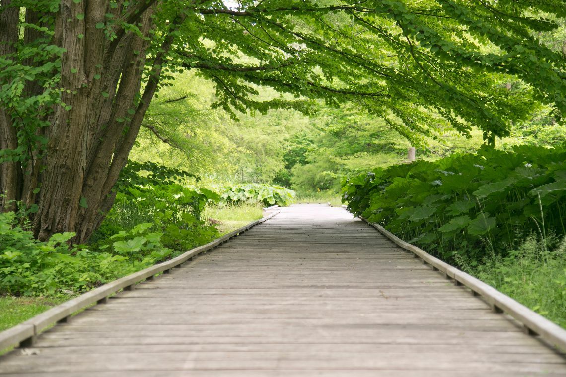 Aufnahme des Malente Kurparks