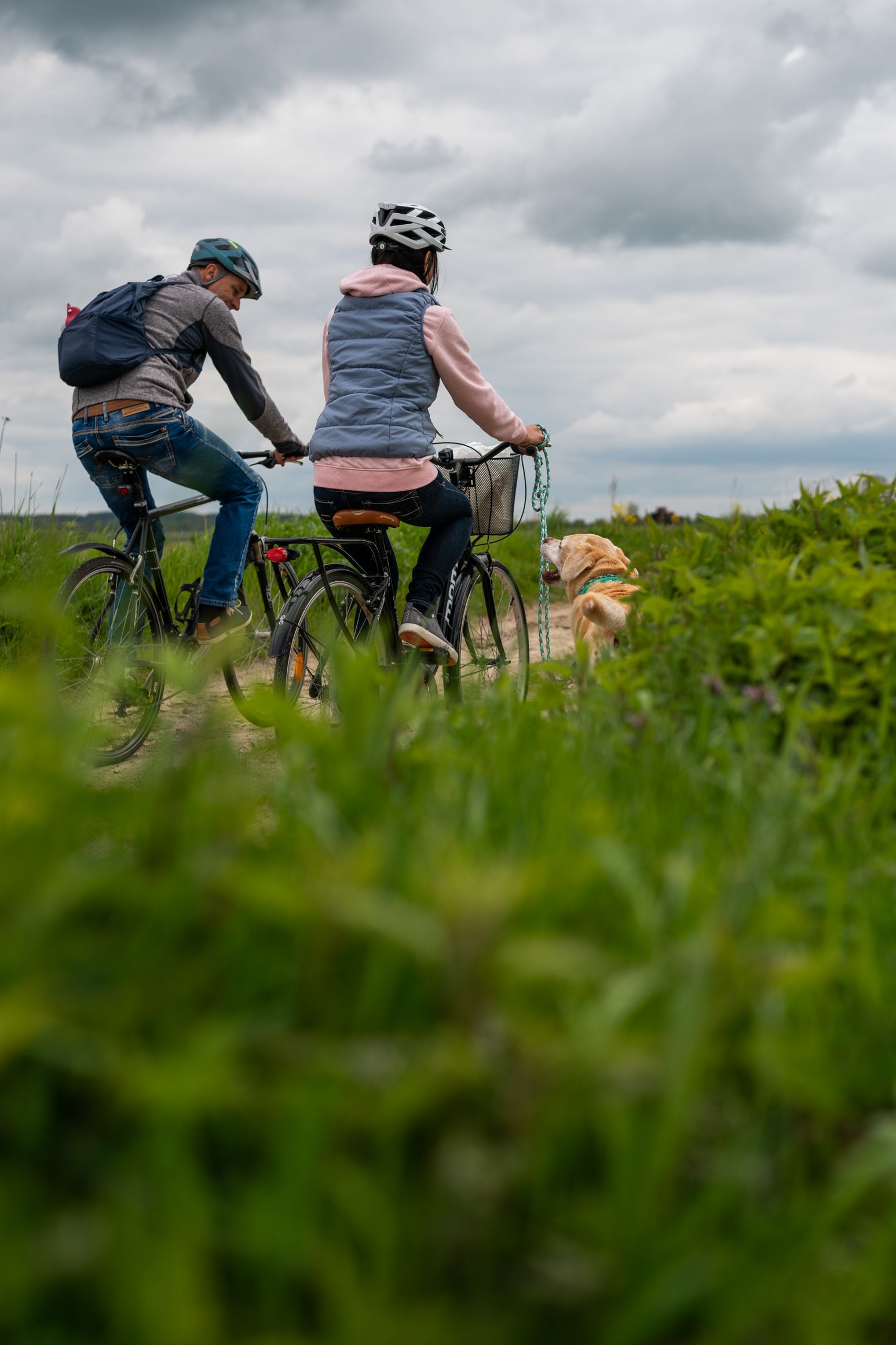 Radtour mit Hund 