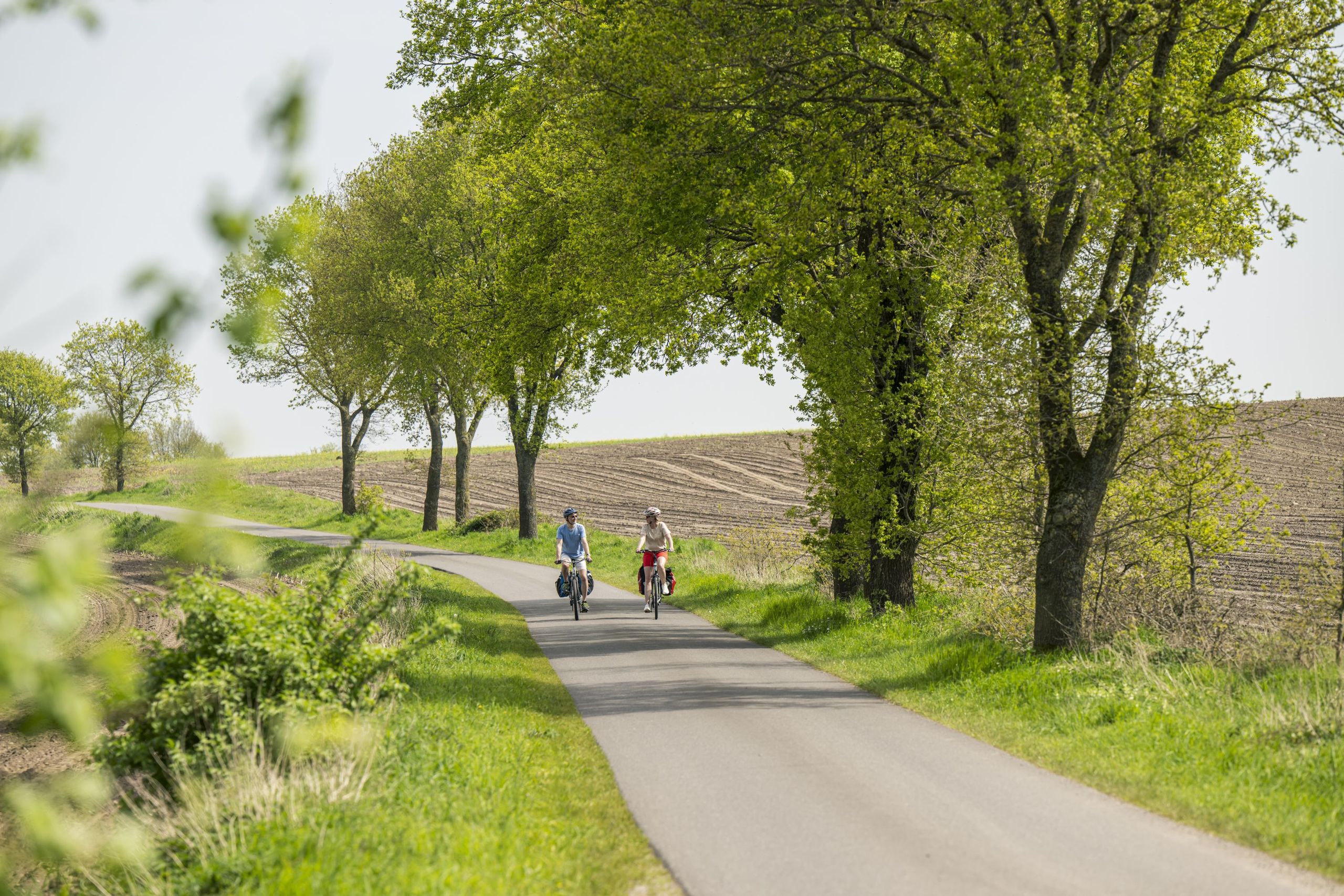 Radfahrende unterwegs auf dem Mönchsweg