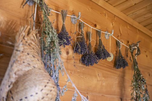 Aufnahme von Lavendel hängend an einem Seil