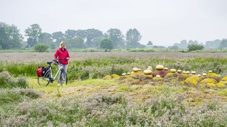 Radreisende betrachtet die Bodenpuntke des Landkunststückes