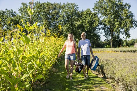 Paar spaziert am Stapeler Lavendelfeld entlang