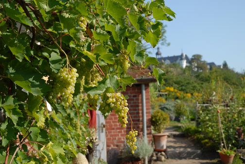 Aufnahme der Alten Schlossgärtnerei