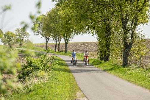 Radfahrende unterwegs auf dem Mönchsweg