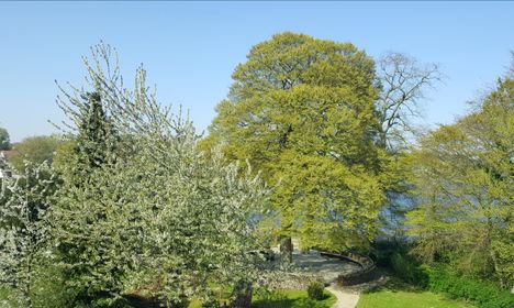 Aufnahme des Gartens am frischen Wasser