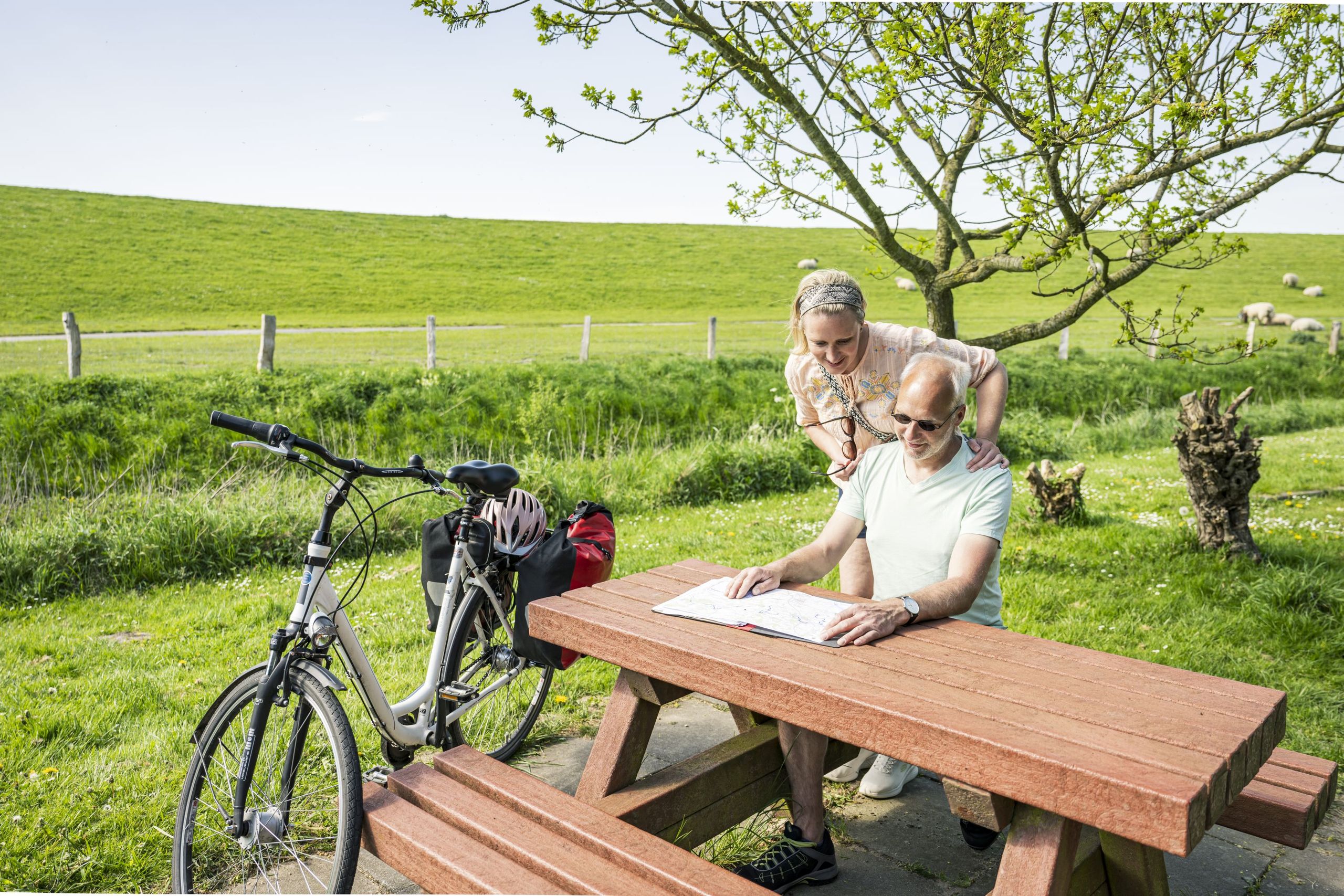 Radreisende machen Pause und studieren eine Karte am Deich