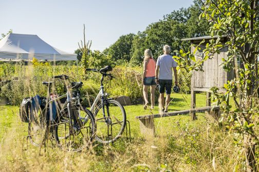 Paar geht zum Stapeler Lavendelfeld
