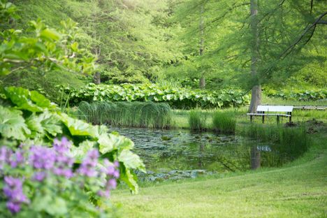 Aufnahme des Kurparks Malente