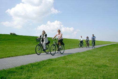 Vier Personen radeln auf einem Deichweg durch grüne Wiesen unter blauem Himmel; links grasen Schafe.