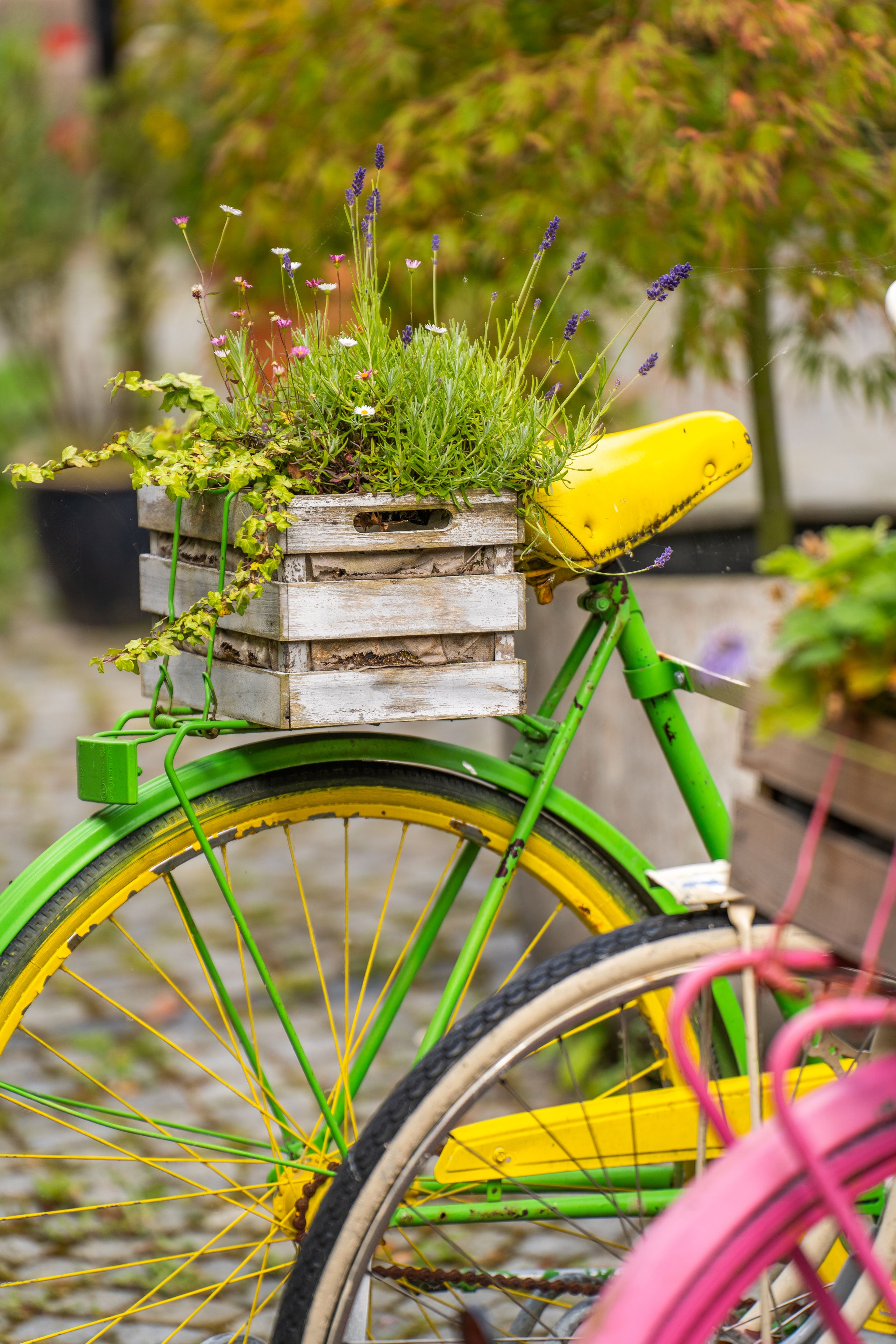 Ein grünes Fahrrad mit gelbem Sattel und Felgen trägt einen Blumenkasten voller Pflanzen. Im Hintergrund sind verschwommene Bäume zu sehen.
