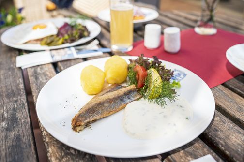 Aufnahme eines Fischgerichtes 