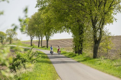 Radfahrende unterwegs auf dem Mönchsweg