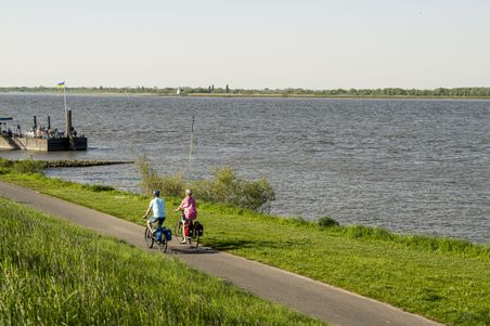 Radeln auf dem Deich, Twielenfleth