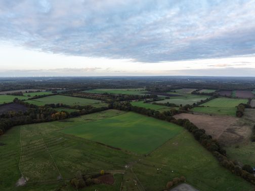 Luftaufnahme von weitläufigen Feldern und Wiesen, umgeben von Bäumen. Am Horizont sind Windräder zu sehen, der Himmel ist bewölkt.