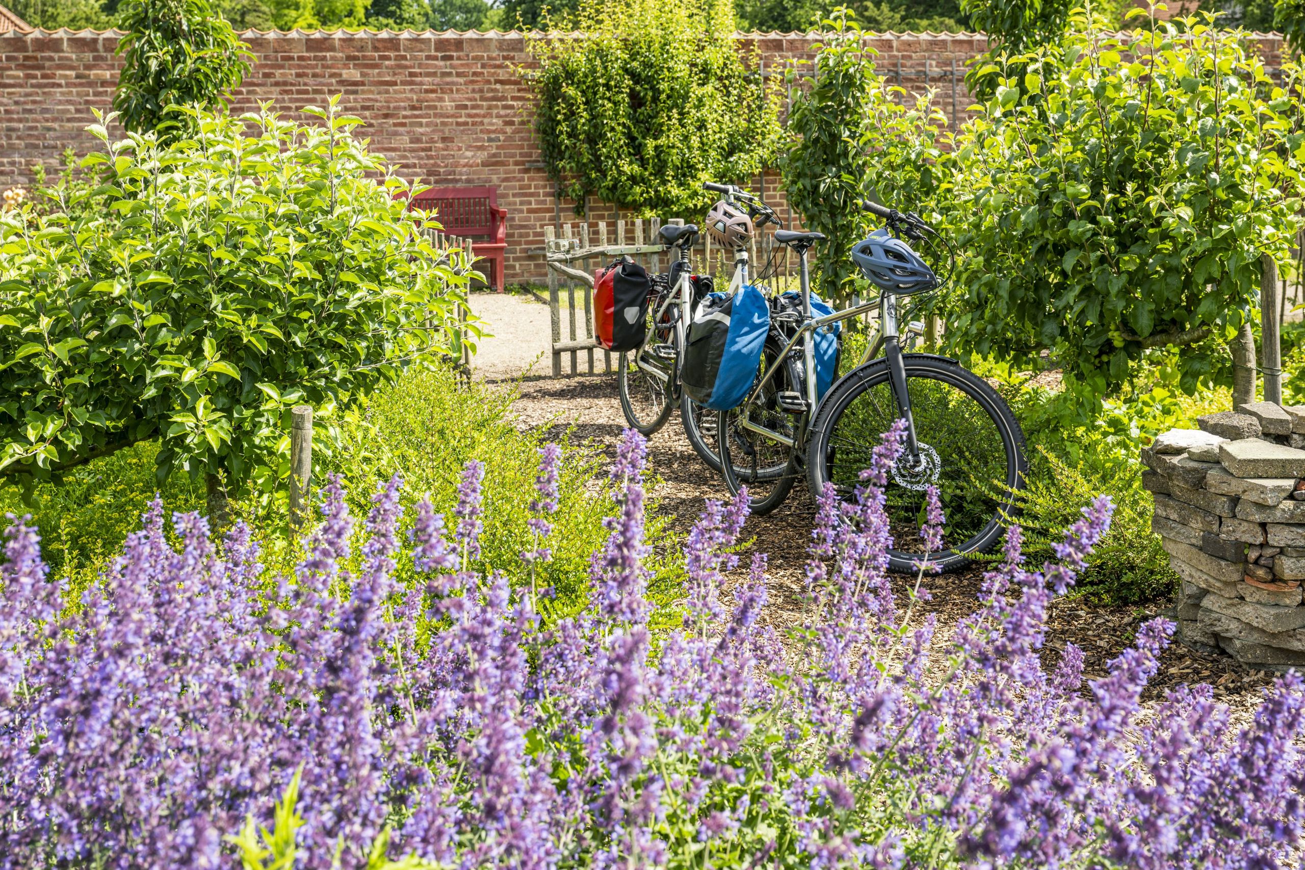 Aufnahme von zwei Fahrrädern stehend im Eutiner Schlossgarten