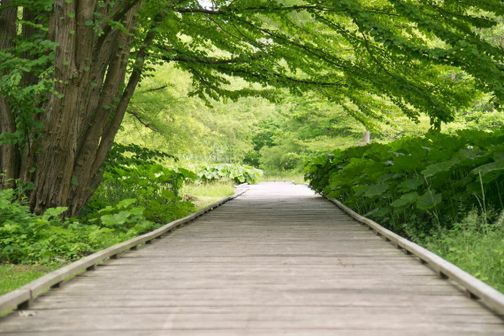 Aufnahme des Malente Kurparks